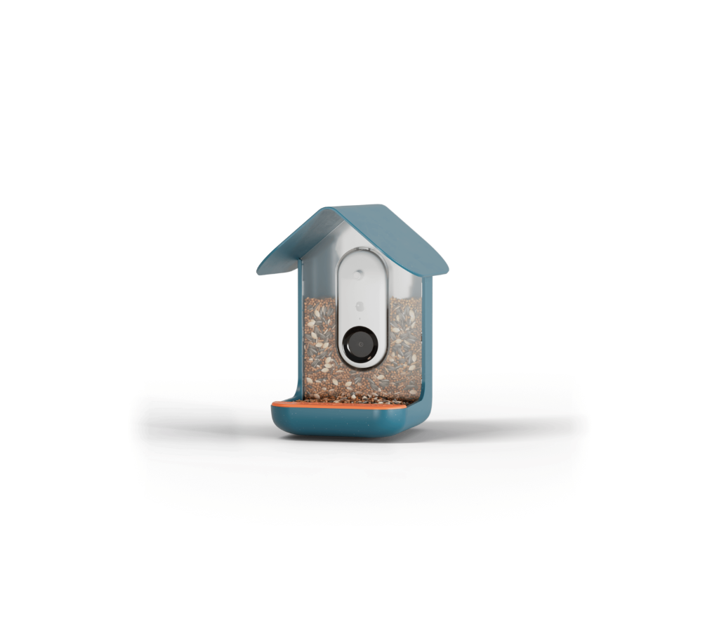 Birdbuddy smart bird feeder
